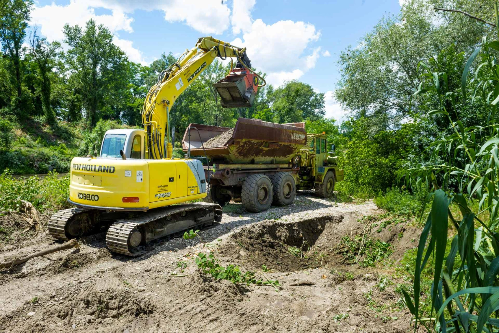 Réhabilitation écologique