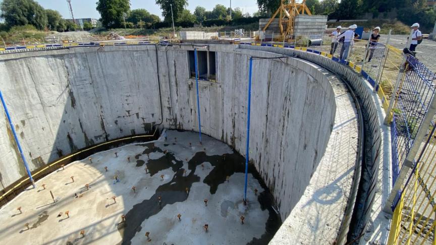 Identification des plantes